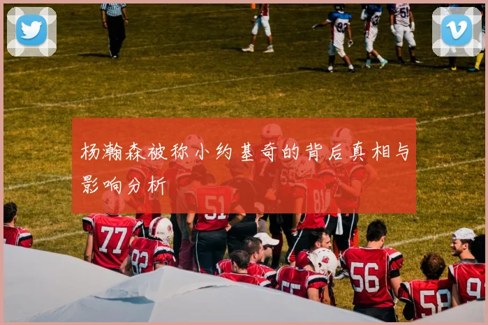 杨瀚森被称小约基奇的背后真相与影响分析