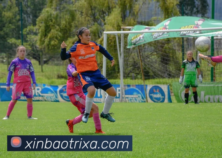 App Interface Preview